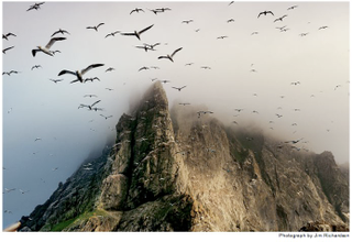 Illustration for article titled A Journey To Scotland Reveals The True Inspiration For Avatar's Pandora